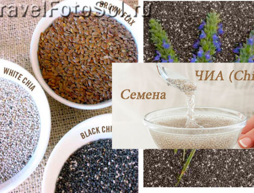 Семена Чиа (Chia) – полезные свойства