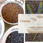 ​Семена Чиа (Chia) – полезные свойства
